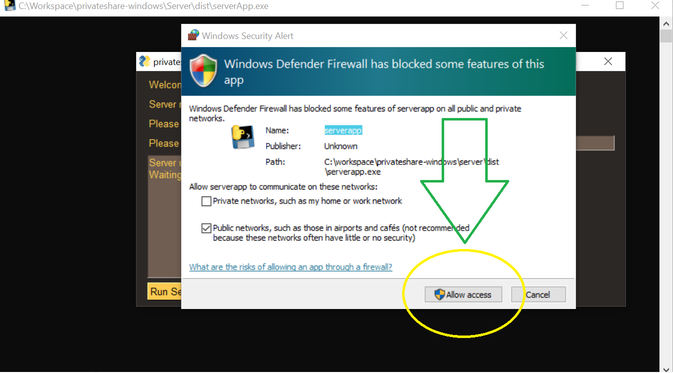 This is is the Windows Defender Firewall Prompt after clicking run server